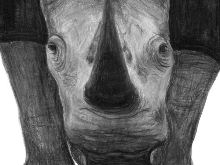 Poster: wilde Neushoorn